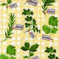 herbes0070-1.jpg (5023 octets)