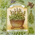 herbes0071-1a.jpg (4450 octets)