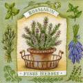herbes0071-1b.jpg (4567 octets)