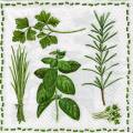 herbes0073-1.jpg (5061 octets)