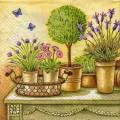 herbes0074-1a.jpg (4569 octets)