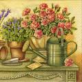 herbes0074-1b.jpg (4702 octets)
