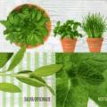 herbes0076-1a.jpg (3891 octets)