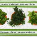 herbes0079-1a.jpg (4389 octets)