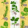 herbes0088-1.jpg (5079 octets)