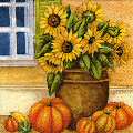 citrouille00100-1.jpg (4806 octets)