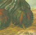 citrouille0015-1b.jpg (3377 octets)