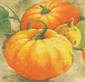 citrouille0017-2a.jpg (3228 octets)
