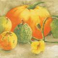 citrouille0017-2b.jpg (3168 octets)