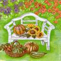 citrouille0039-1.jpg (4721 octets)