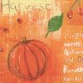 citrouille0045-1b.jpg (3197 octets)