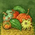 citrouille0071-1.jpg (4151 octets)