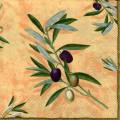 olives0005-2b.jpg (4092 octets)