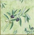 olives0005a.jpg (5425 octets)