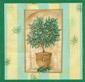 olives0007.jpg (3547 octets)