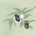 olives0008.jpg (2311 octets)