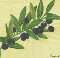 olives0009b.jpg (3500 octets)