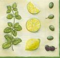 olives0010b.jpg (3502 octets)