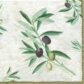 olives0012.jpg (3828 octets)