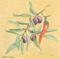 olives0019-1a.jpg (2986 octets)