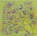 olives0020-1.jpg (3597 octets)