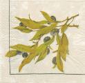 olives0022-1a.jpg (3259 octets)