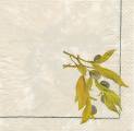 olives0022-1b.jpg (2431 octets)