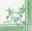 olives0029-1.jpg (3128 octets)