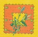 olives0036-1b.jpg (3693 octets)