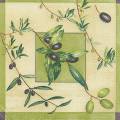 olives0043-3.jpg (3781 octets)