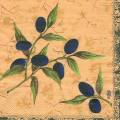 olives0053-1.jpg (3898 octets)