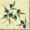 olives0053-2.jpg (3945 octets)
