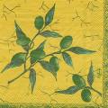 olives0053-4.jpg (3938 octets)