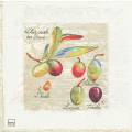 olives0062-1a.jpg (2589 octets)