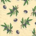 olives0070-1.jpg (3564 octets)