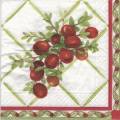 olives0072-1.jpg (4087 octets)