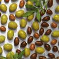 olives0087-1b.jpg (4781 octets)