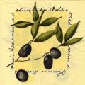 olives0088-1.jpg (3936 octets)