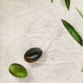 olives0089-1b.jpg (2472 octets)