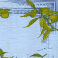 olives0107-1a.jpg (3214 octets)