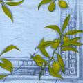 olives0107-1b.jpg (3773 octets)