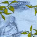 olives0107-1d.jpg (3426 octets)