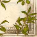olives0107-2b.jpg (3683 octets)