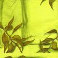 olives0107-3a.jpg (3269 octets)