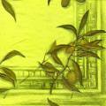 olives0107-3b.jpg (3658 octets)