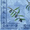 olives0108-1a.jpg (4264 octets)