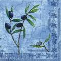 olives0108-1b.jpg (4315 octets)