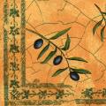olives0108-3a.jpg (4613 octets)