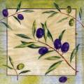 olives0117-1.jpg (4321 octets)