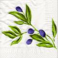 olives0119-1.jpg (3586 octets)